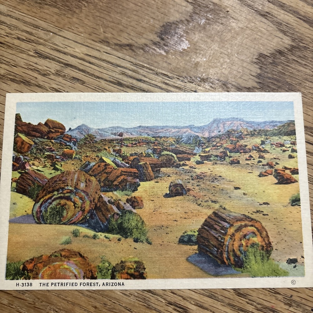 Scene from the Historic Petrified Forest in Arizona Linen Vintage Post Card